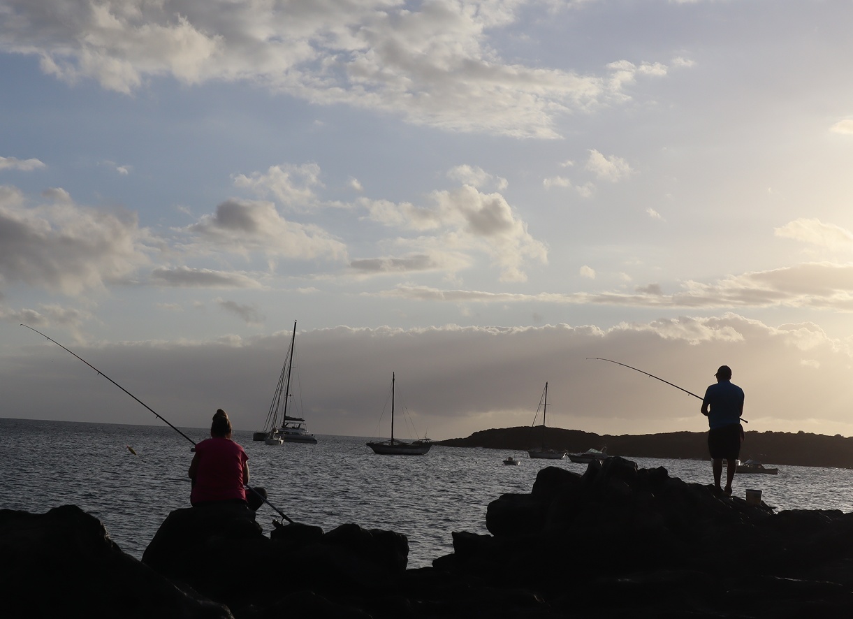 Как не попасть на штрафы с камер: 3 лайфхака от бывалых водителей