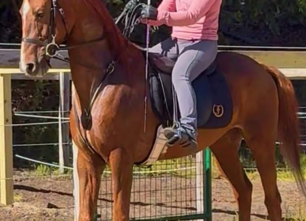 Механика против мифов — можно ли ездить накатом на МКПП?