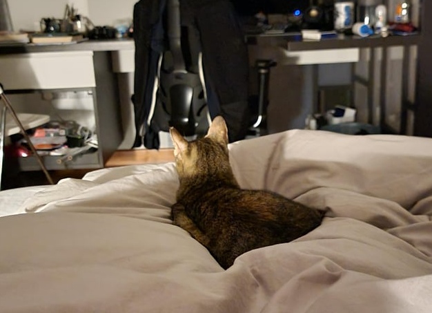 Как спать в машине с комфортом: 10 лайфхаков для путешественников