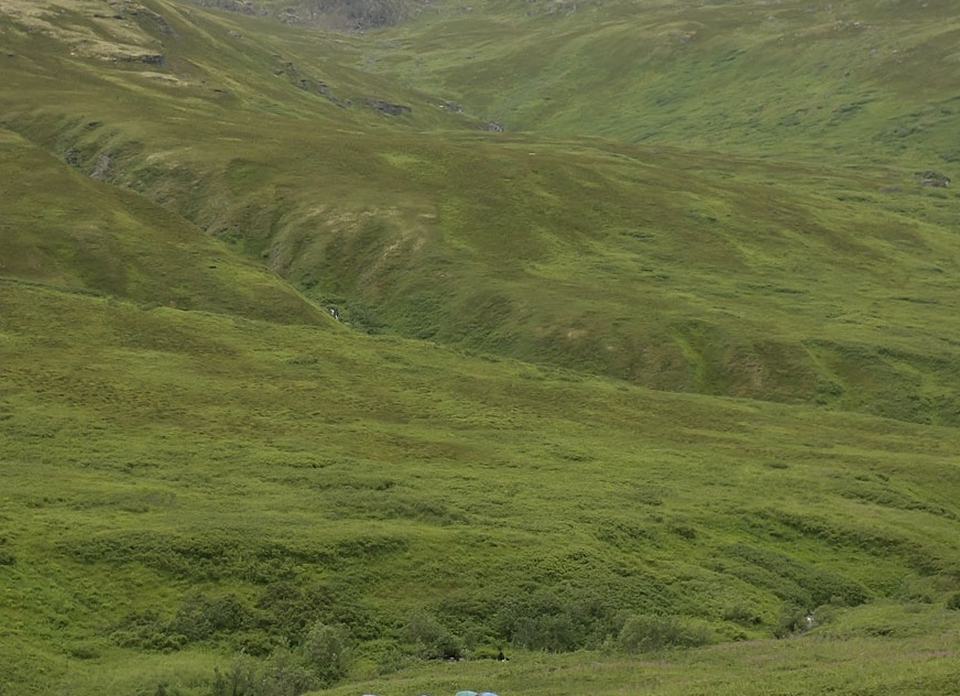 Почему все боятся китайских машин? Разбираем главные мифы