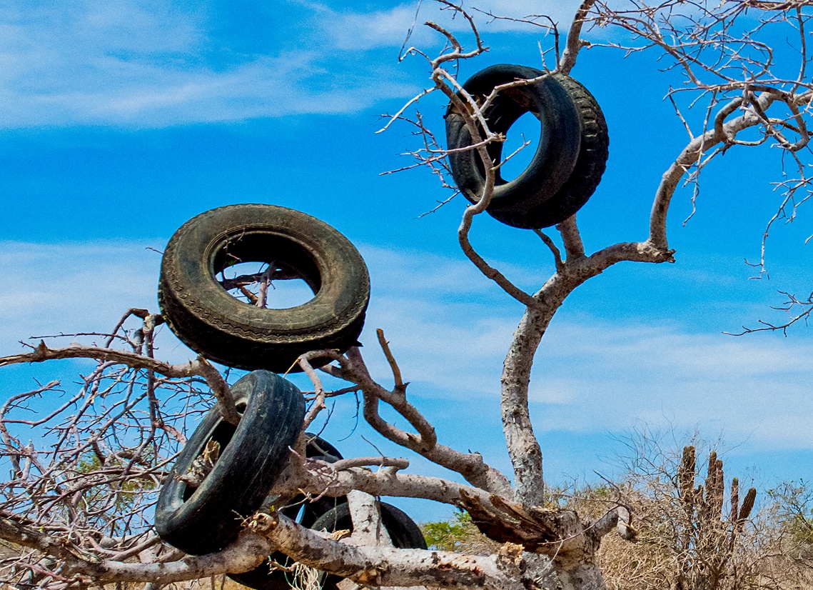 Как хранить шины, чтобы они служили дольше? 5 ошибок, которые убивают вашу резину